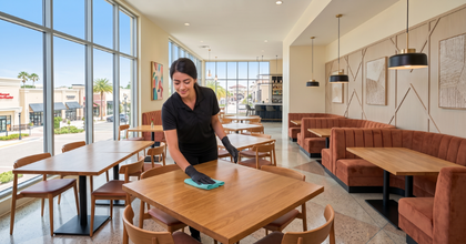 Dining Room & Table Cleaning